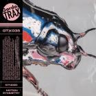 stndrd & Motion Symmetry - Split 01