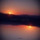 Fingers In The Noise - Scotchage