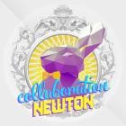 Newton - Collaboration