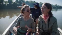 Terra.X.Amazonien.Expedition.in.den.Regenwald.GERMAN.DOKU.HDTVRip.x264-TMSF