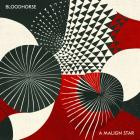 Bloodhorse-A Malign Star-24BIT-96KHZ-WEB-FLAC-2025-FLACCiD