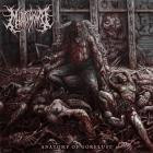 Multiwomb - Anatomy of Gorelust