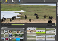 Fast Video Cataloger v10.0.0.0 (x64)