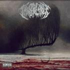 JawBreakerT H C B D -Sleepless Sorrow-24BIT-44KHZ-WEB-FLAC-2026-FLACCiD