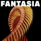 Slift-Fantasia-16BIT-WEB-FLAC-2026-FLACCiD