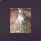 Field Of View - - In My Own Way  