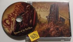 Dripped-Rituals of the Red Sun- UNG045 -CD-FLAC-2023-86D