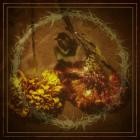 Fire In The Blood - This Place Is Barren