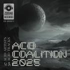 VA-Acid Coalition 2025- ZCDIG011 -16BIT-WEB-FLAC-2025-BABAS