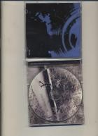 David Usher - Strange Birds