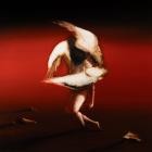 Maruja - Pain To Power