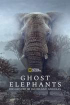 Ghost.Elephants.2025.GERMAN.DOKU.2160P.WEB.H264-LiTTERARUM