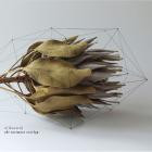 Orla Wren-The Intimate Overlap- DR108 -24BIT-WEB-FLAC-2025-BABAS