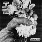Softcult - - When A Flower Doesnt Grow  