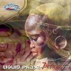 Liquid Phase - Africa