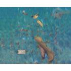 Find My Friends-find my friends-24BIT-96KHZ-WEB-FLAC-2025-FLACCiD