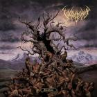 Vulvodynia-Entabeni-24BIT-48KHZ-WEB-FLAC-2024-FLACCiD