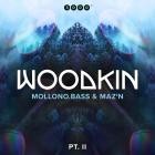 WOODKIN aka Mollono Bass & MAZ'N - WOODKIN - Part 2  