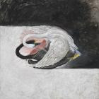 Aidan Baker - Songs of Waking & Weather