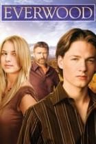 Everwood - Staffel 2