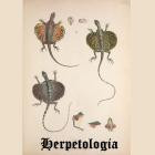 Herpetologia - Reptiles and Amphibians