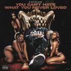 Capolow - You Can't Hate What You Never Loved