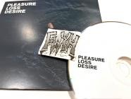 Talk To Her-Pleasue Loss Desire-CD-FLAC-2025-FWYH