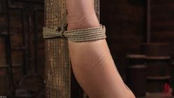 HogTied.26.03.30.Sidney.Summers.XXX.1080p.MP4-FETiSH