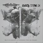 Festerdecay Crash Syndrom - Encyclopedia of Putrefactive Anomalies