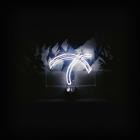 Local Action Remixes: 2010