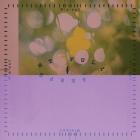 Dialect - Full Serpent