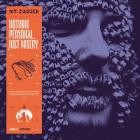 Mt  Dagger - Nothing Personal  Just Misery 