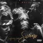 Dee Mula - Suffering From Success