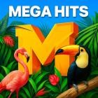 VA - Mega Hits 2025 - Top Charts und Radio Songs 15 08 2025-NG