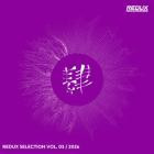 VA - Redux Selection, Vol  3 (2026)