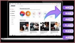 Pazu Deezer Music Converter v1.2.4