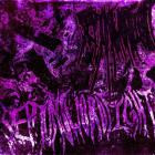 Septumswordfight - Septumswordfight