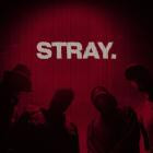 THROATCUT  - Stray 