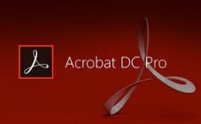 Adobe Acrobat Pro DC 2025.001.21265 (x64)