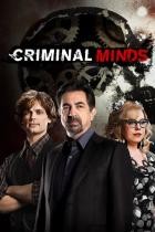 Criminal Minds - Staffel 1