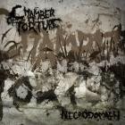Chamber Of Torture - Necrodomain