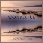 SterminatorDj - Wonderful