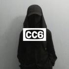 Noid4l - CC6