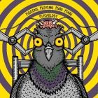 Pigeons Playing Ping Pong - - Psychology  