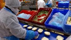 Die.Sandwichfabrik.Super.Snacks.vom.Fliessband.2017.German.DOKU.WEB.x264-CLASSiCAL