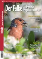 Der Falke - Journal fuer Vogelbeobachter 04/2026