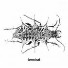 Stitched - Persona Non Grata