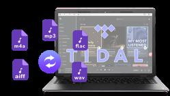 Pazu Tidal Music Converter v1.7.2 (x64)