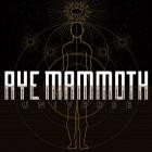 Aye Mammoth - Universe