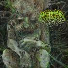 Annotations of an Autopsy - Welcome to Sludge City